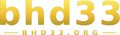 bhd33 logo